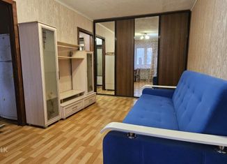Сдается 1-комнатная квартира, 28.9 м2, Нижний Новгород, улица Лескова, 8, метро Парк Культуры