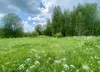 Продажа земельного участка, 30 сот., ДНТ Шаблыкино