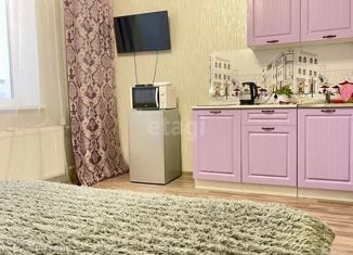 Продается квартира студия, 28 м2, Челябинск, улица Доватора, 1
