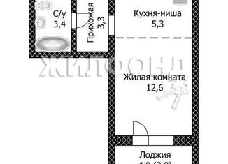 Квартира на продажу студия, 24.2 м2, Барнаул, улица Эмилии Алексеевой, 10, ЖК Космонавты