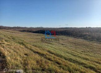 Продам участок, 200 сот., село Ворогушино, Центральная улица