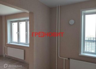 Продается квартира студия, 32 м2, Новосибирск, метро Площадь Гарина-Михайловского, улица Титова, 255/1