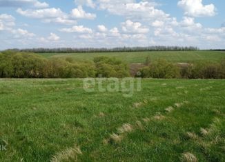 Продажа земельного участка, 41 сот., село Александровка, Советская улица, 45