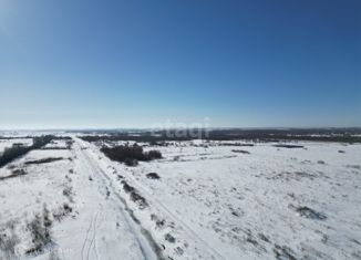 Продаю земельный участок, 200 сот., деревня Ворщиково