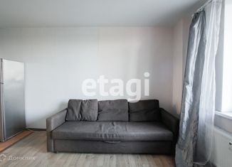 Продаю квартиру студию, 24.3 м2, Мурино, проспект Авиаторов Балтики, 7, ЖК Виктория