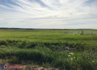 Продам земельный участок, 240 сот., деревня Новая Пустошь