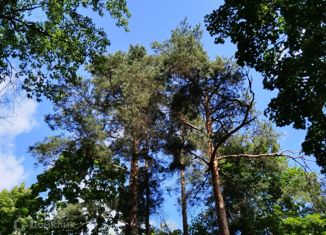 Участок на продажу, 24 сот., дачный посёлок Удельная