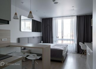 Сдается квартира студия, 26.5 м2, Санкт-Петербург, Социалистическая улица, 21, метро Лиговский проспект