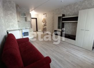 Сдача в аренду квартиры студии, 28 м2, Новосибирск, улица Плахотного, 78/1, ЖК Крымский