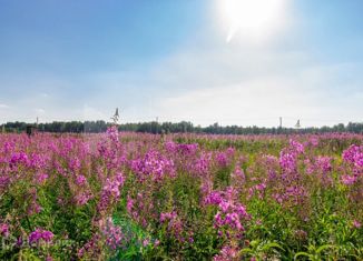 Продаю участок, 65 сот., село Щербак