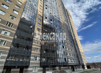 Продается квартира студия, 28.2 м2, Санкт-Петербург, улица Фёдора Абрамова, 4, метро Парнас