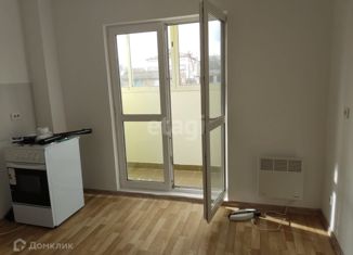 Продажа 2-ком. квартиры, 47.1 м2, село Сизовка, Садовая улица, 1