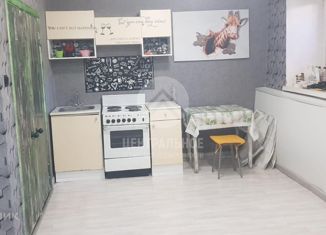 1-комнатная квартира на продажу, 25.7 м2, Новосибирск, улица Чекалина, 21, Калининский район