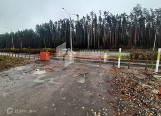 Продаю земельный участок, 10 сот., деревня Анкудиново, деревня Анкудиново, 15