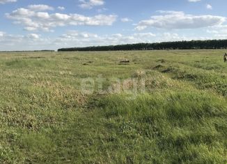 Продам участок, 10 сот., село Петино