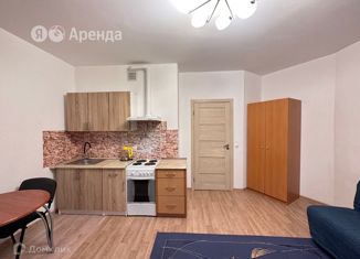 Сдаю в аренду квартиру студию, 24 м2, Кудрово, Европейский проспект, 5