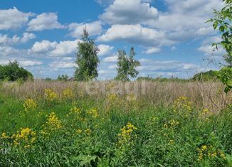 Продается земельный участок, 100 сот., Новомосковск, Городская площадь