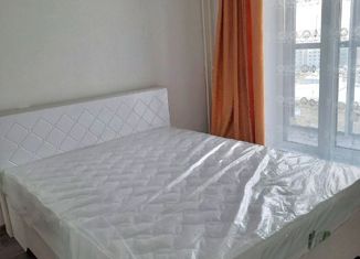 Сдача в аренду 2-комнатной квартиры, 45 м2, Челябинская область, Телевизионная улица, 14