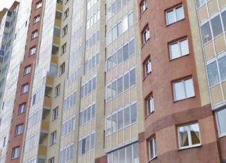 Продается 1-ком. квартира, 50.9 м2, Санкт-Петербург, Ново-Александровская улица, 14, муниципальный округ Обуховский