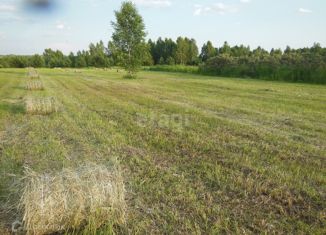 Продается участок, 30 сот., деревня Кощеево