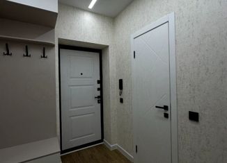 Продаю однокомнатную квартиру, 42 м2, село Семёновка, Молодёжная улица, 14В