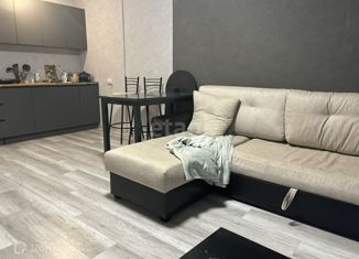 Сдается 2-ком. квартира, 50 м2, Новосибирск, улица Плахотного, 82