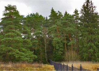 Участок на продажу, 96 сот., деревня Чесноково