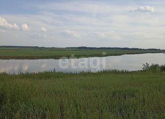 Продажа дома, 53.2 м2, село Пахомова, Береговая улица