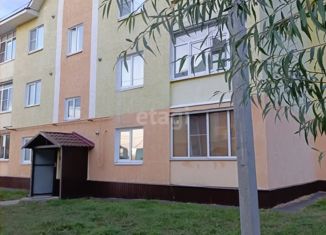 Продам 1-комнатную квартиру, 36 м2, Выкса, улица Старшего Матроса Астахова, 1Б