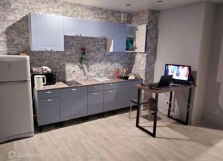 1-комнатная квартира на продажу, 29 м2, село Новое Шигалеево, улица Габдуллы Тукая, 3