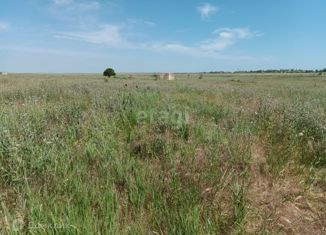 Продаю участок, 6.6 сот., СНТ Нептун