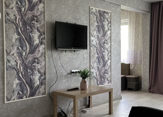 Сдам в аренду 2-комнатную квартиру, 44.7 м2, Иркутская область, микрорайон Юбилейный, 43