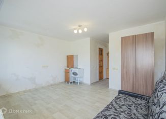 Продажа квартиры студии, 24 м2, Екатеринбург, Панельная улица, 17к1, Кировский район