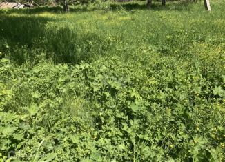 Продажа участка, 10 сот., село Чернопенье, Школьная улица, 11