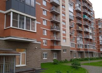 1-комнатная квартира на продажу, 34.1 м2, Колпино, Загородная улица, 37к2