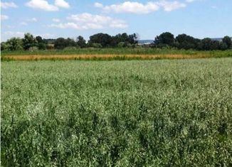 Продам участок, 220 сот., село Речное, улица 40 лет Победы, 36А