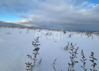 Продаю участок, 15 сот., село Кулункун