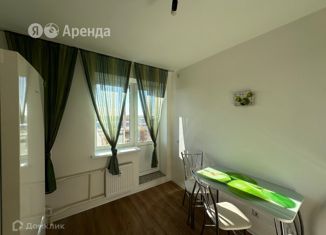 Однокомнатная квартира в аренду, 30 м2, Санкт-Петербург, Гудиловская улица, 9