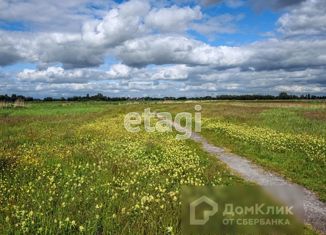 Продаю земельный участок, 200.2 сот., деревня Василёво
