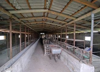 Продаю участок, 9.9 сот., хутор Сарский, Степная улица