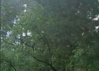 Продам земельный участок, 55 сот., деревня Жуковка, деревня Жуковка, 119