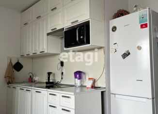 Квартира на продажу студия, 28.2 м2, Санкт-Петербург, улица Фёдора Котанова, улица Фёдора Котанова