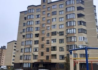 Продажа 1-комнатной квартиры, 38.8 м2, село Александровка