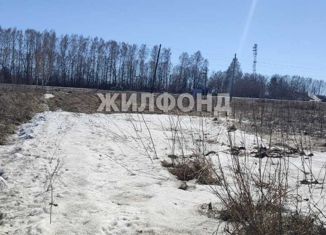 Продается земельный участок, 10 сот., поселок Кошево, Садовая улица