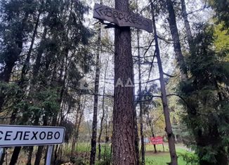 Продам земельный участок, 12 сот., деревня Селехово, Молодёжная улица