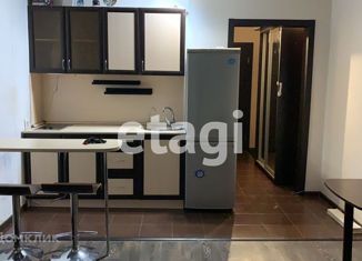 Продаю квартиру студию, 24.7 м2, Санкт-Петербург, Ленская улица, 19к1, Ленская улица