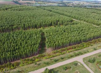 Продаю участок, 40 сот., село Казаклар