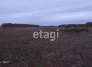 Продаю участок, 6 сот., село Мокроусово, Центральная площадь