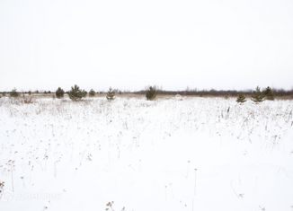 Продаю участок, 17.68 сот., Ялуторовск, улица Егорова