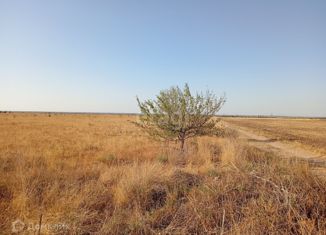 Продается участок, 986.8 сот., село Приветное, улица Ленина